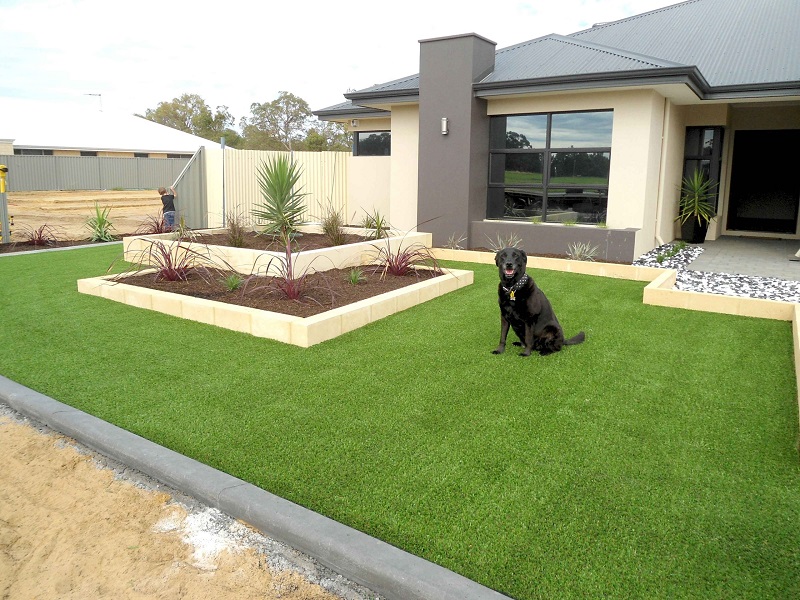 Artificial Turf: A Dog Owner Friendly
