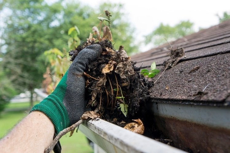 Gutter Cleaning Solutions: What Are Your Choices?