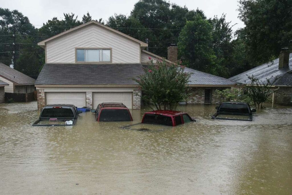 Navigating Water Damage: Immediate Actions to Minimize the Impact